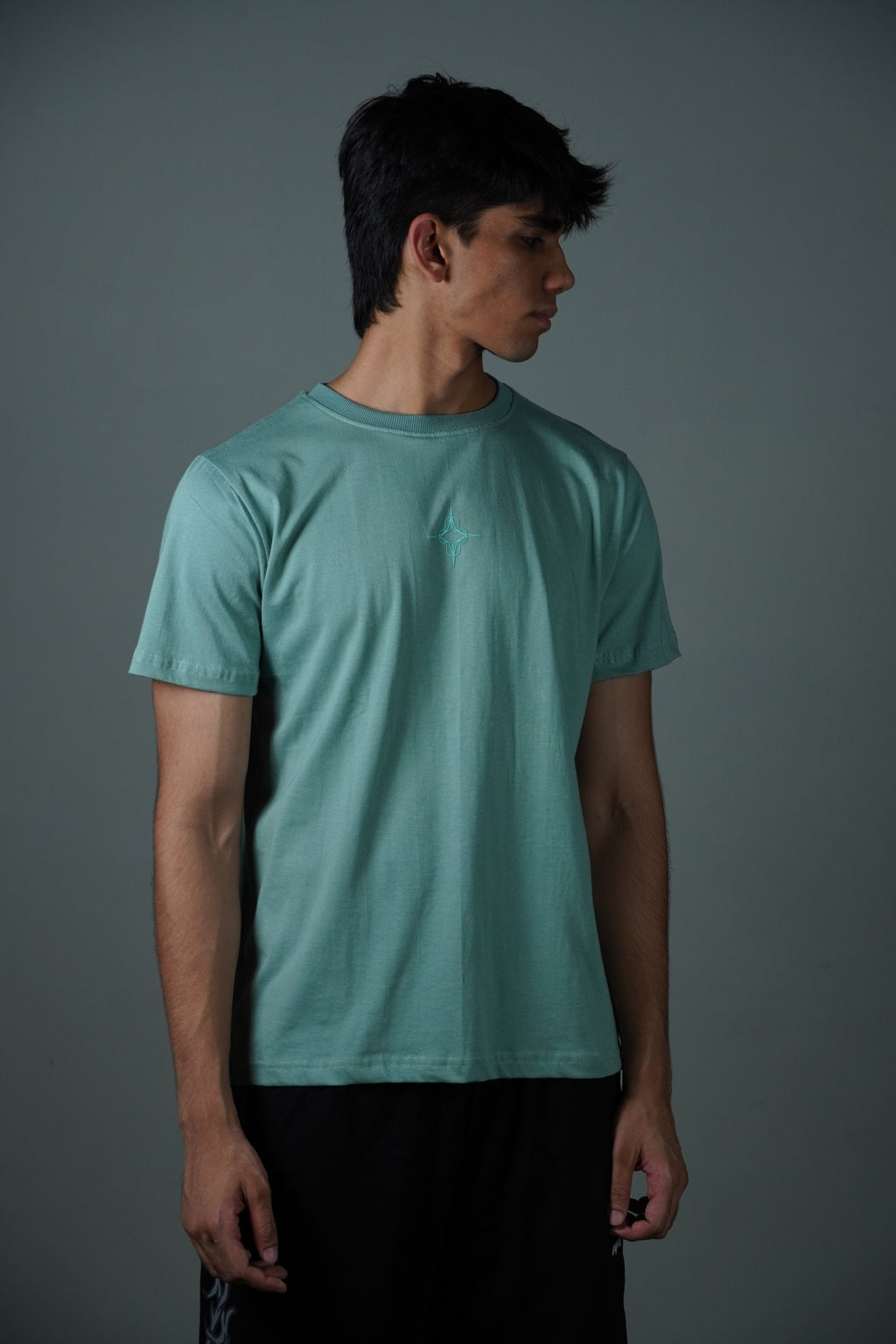 Mint green tee (Regular)
