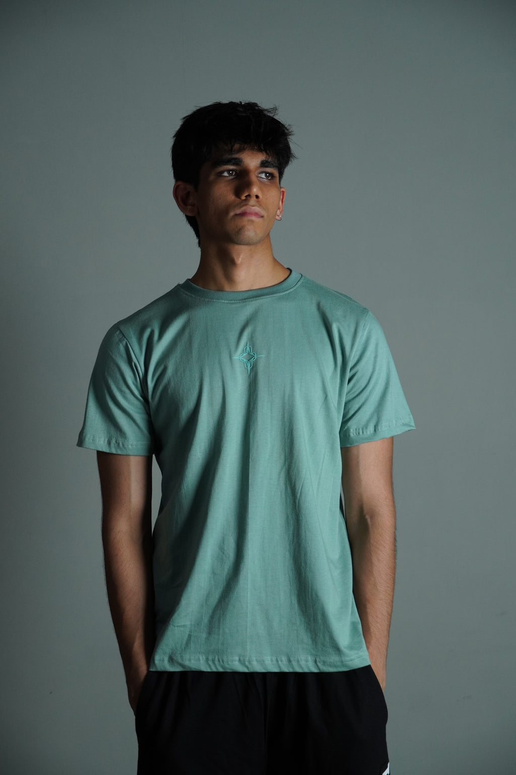 Mint green tee (Regular)